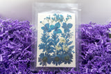 Pressed & Dried Flowers