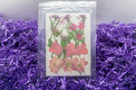 Pressed & Dried Flowers