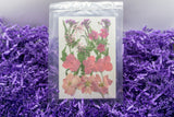 Pressed & Dried Flowers