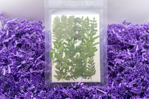 Pressed & Dried Flowers
